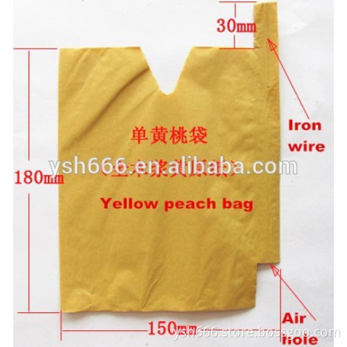 Peach fruit growing paper bag 12 years experience